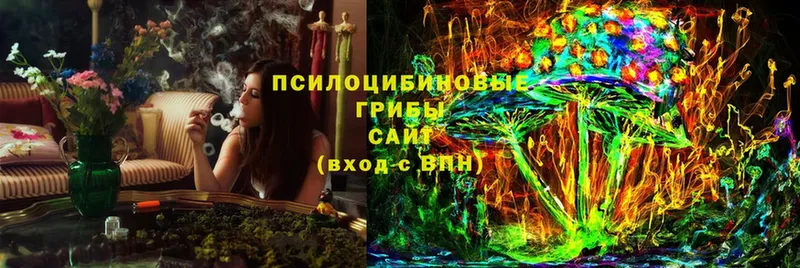 Псилоцибиновые грибы MAGIC MUSHROOMS  ссылка на мегу сайт  Данков 